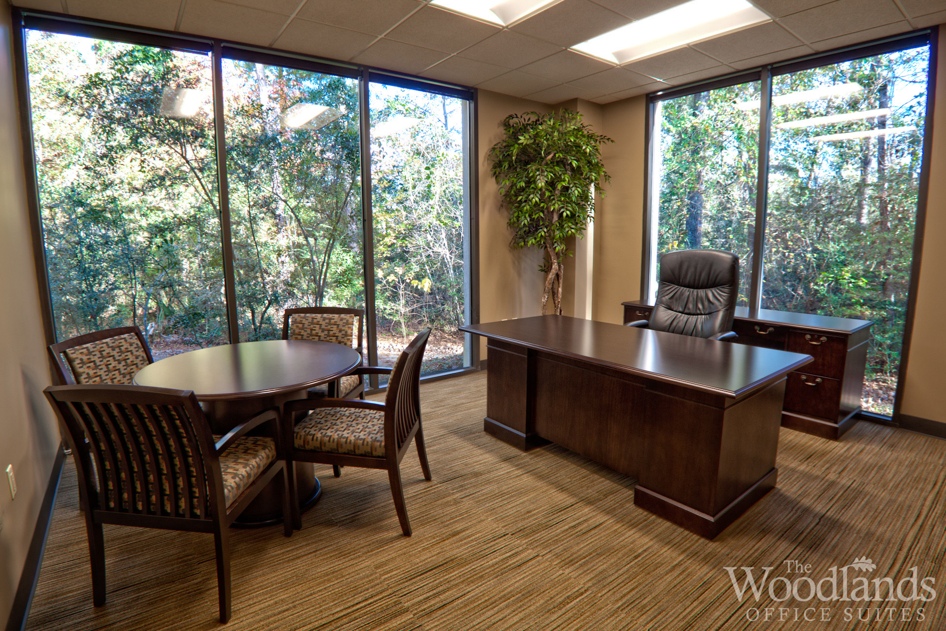 Unlock Your Business Potential: The Complete Private Office Solution in The Woodlands