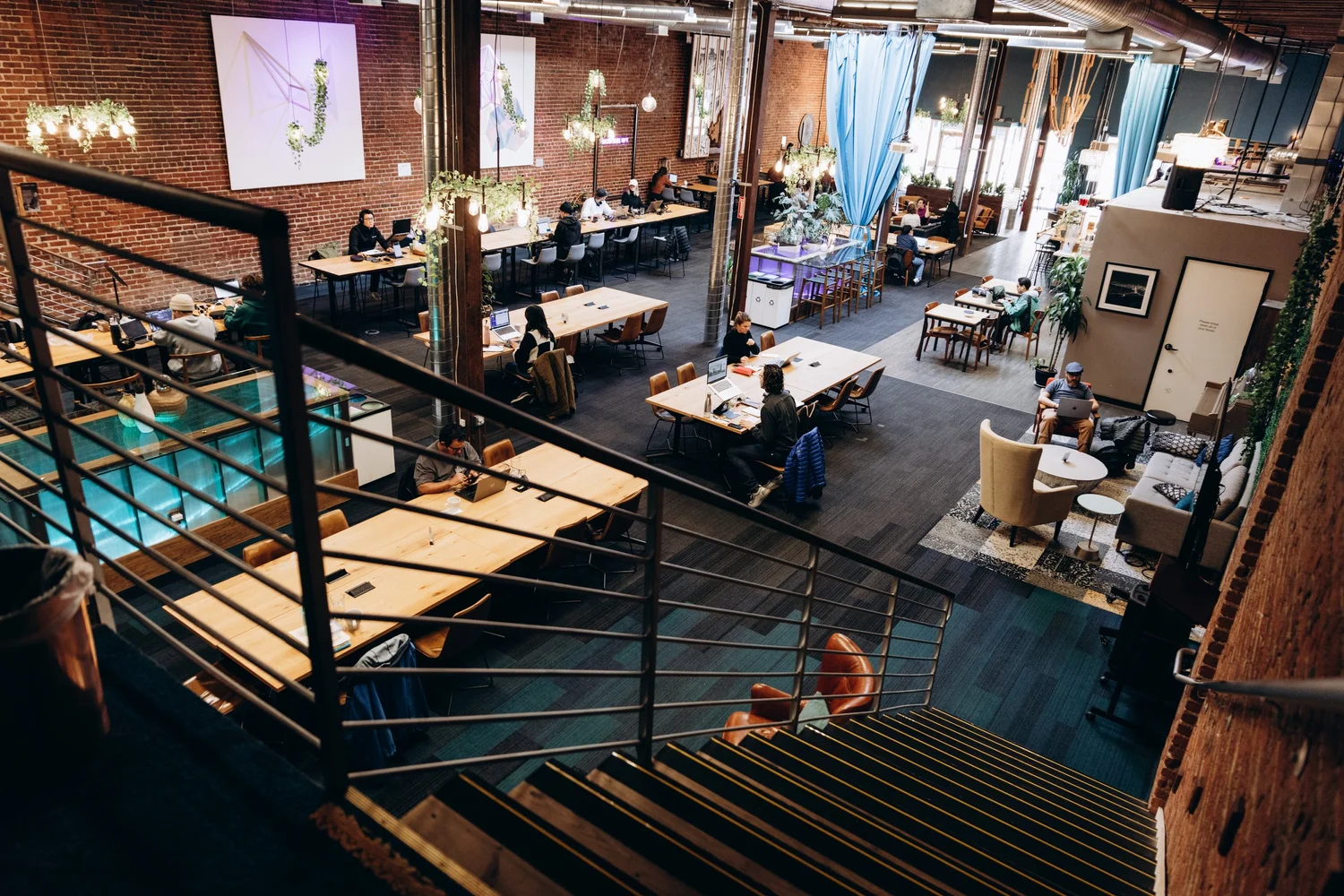 Trellis: San Francisco's Inclusive Hub 