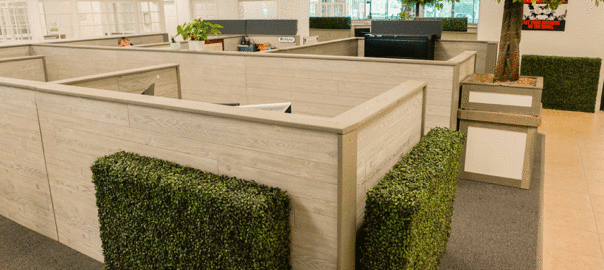 Kuna Coworking: Your Jacksonville Hub for Collaboration and Growth